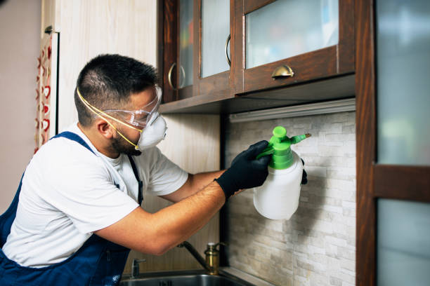 Best Residential Pest Control  in Altus, OK