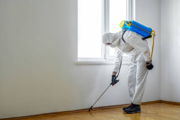 Best Exterminator Services  in Altus, OK