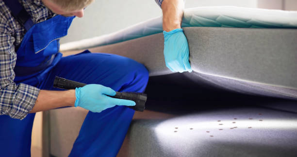 Best Ant Control Services  in Altus, OK