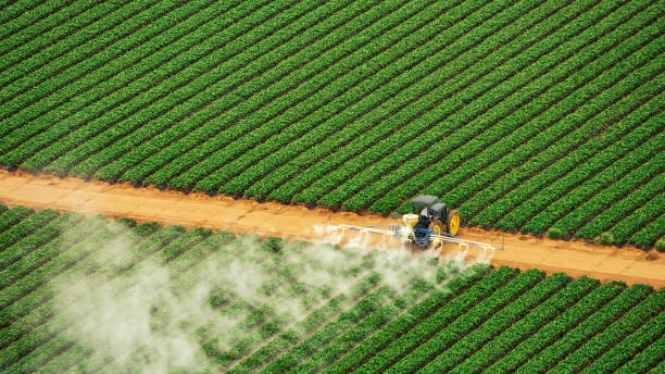Trusted Altus, OK Pest Control Experts