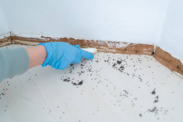 Best Best Pest Control Companies  in Altus, OK
