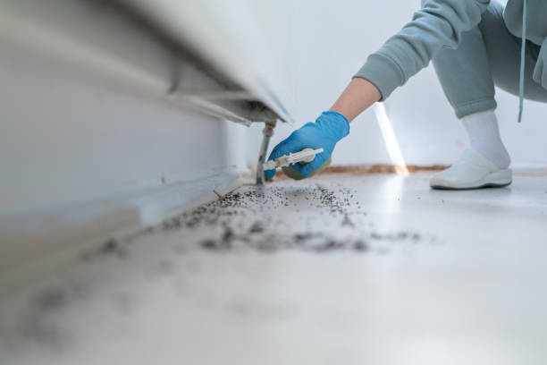 Best Affordable Pest Control Services  in Altus, OK