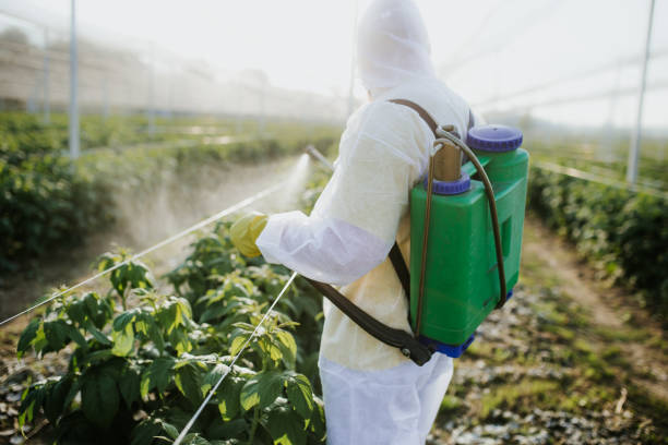Best Wasp Removal Services  in Altus, OK